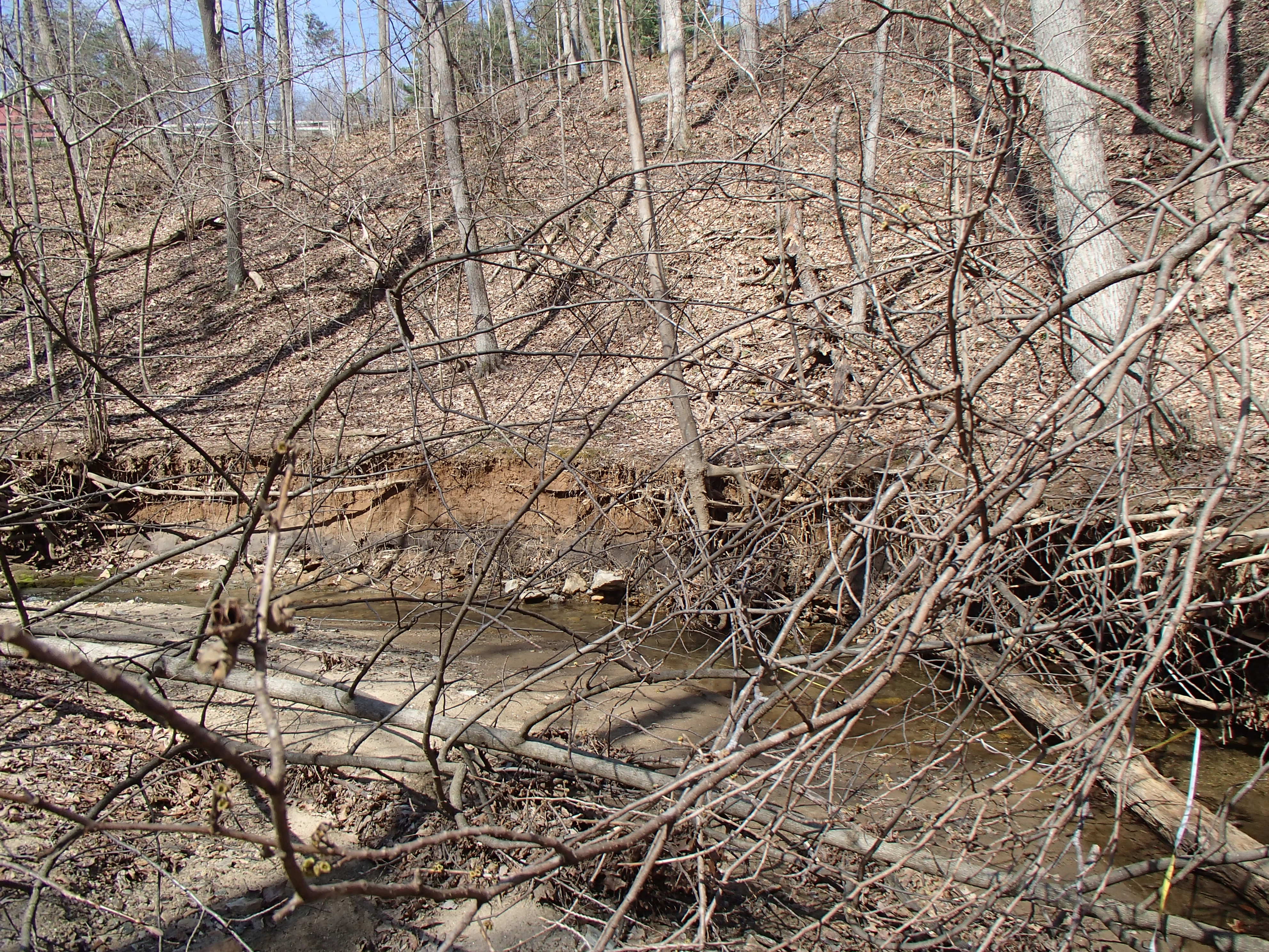 Field photo showing stream conditions at site LOCH-112-R-2016_Upstream from midpoint